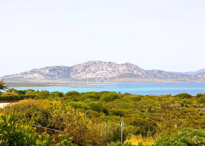 Apartman Terrazza Celeste Stintino